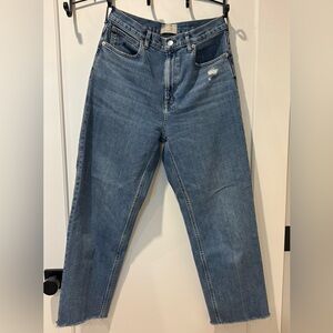 Everlane “the way high” Light Blue Ankle Jeans size 29